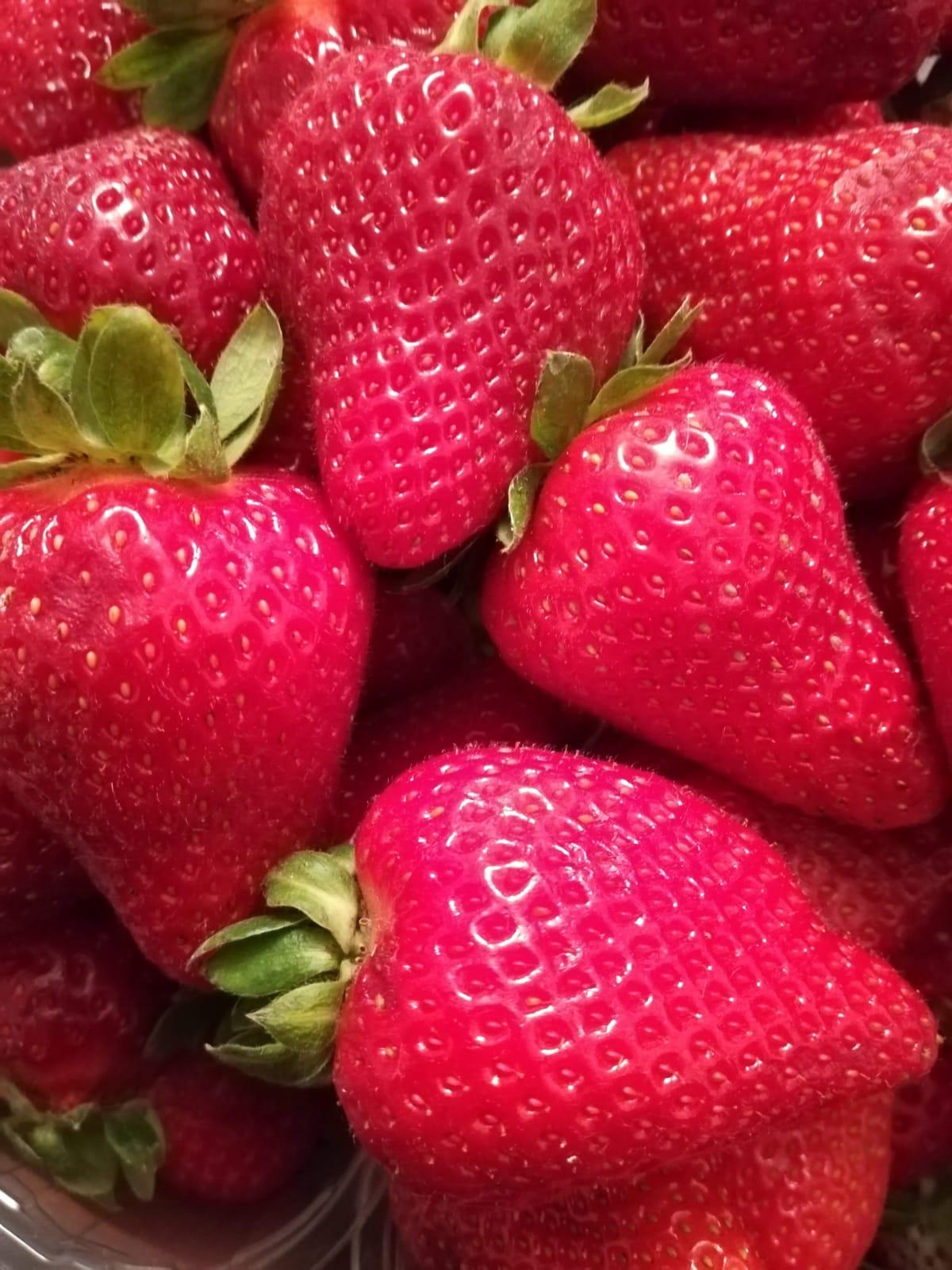 Educazione alimentare 