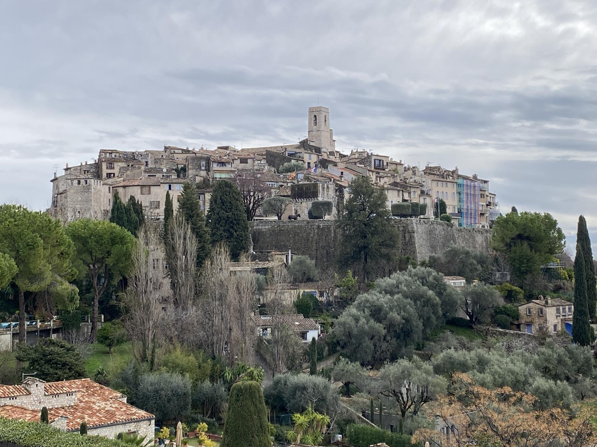 FESTA DELLA MIMOSA DI MANDELIEU LA NAPOULE
