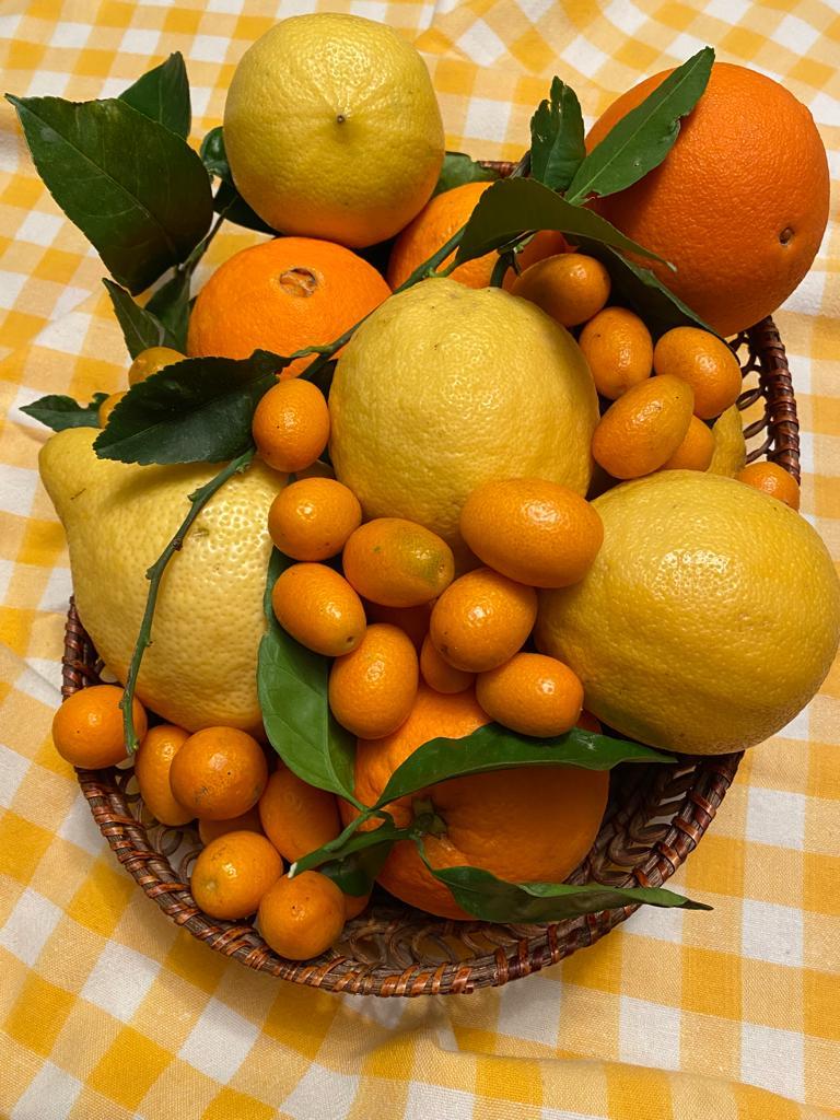 Educazione alimentare 