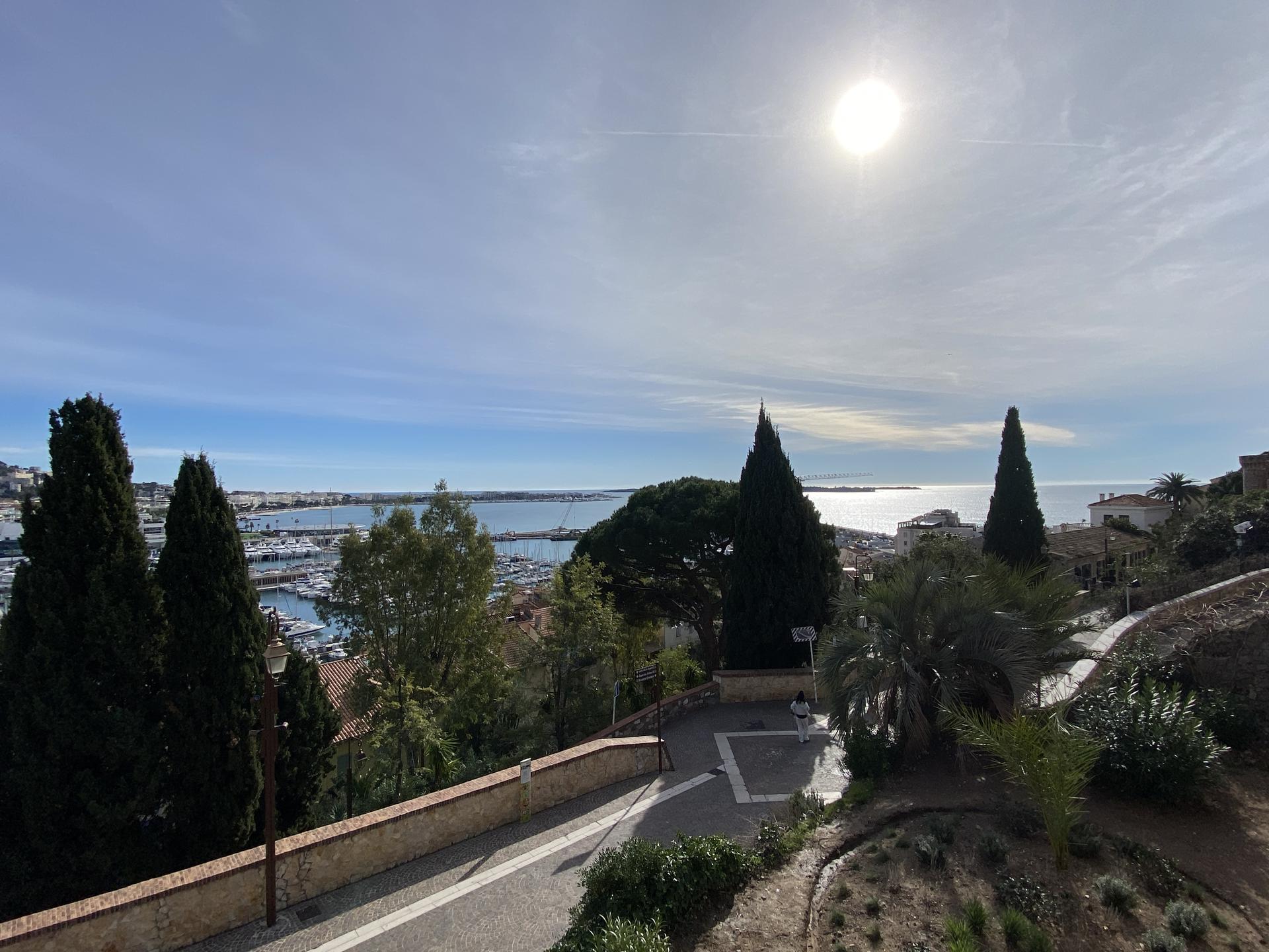 FESTA DELLA MIMOSA DI MANDELIEU LA NAPOULE