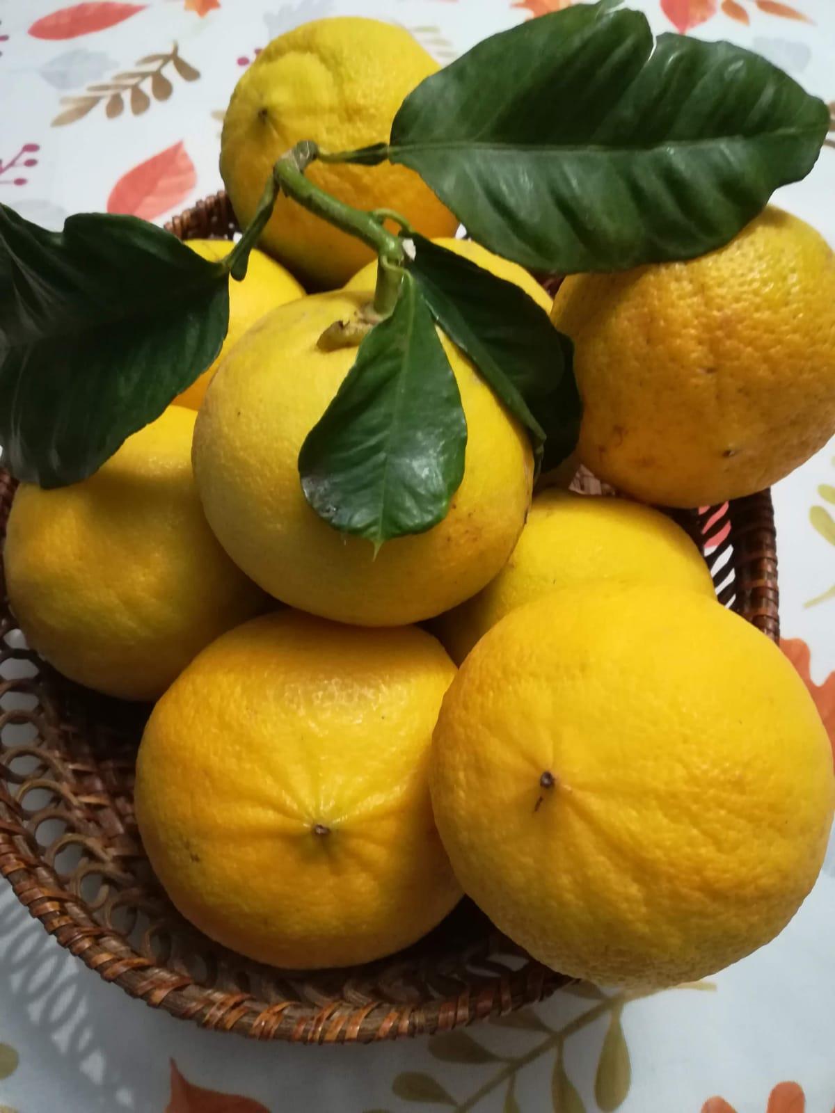 Educazione alimentare 