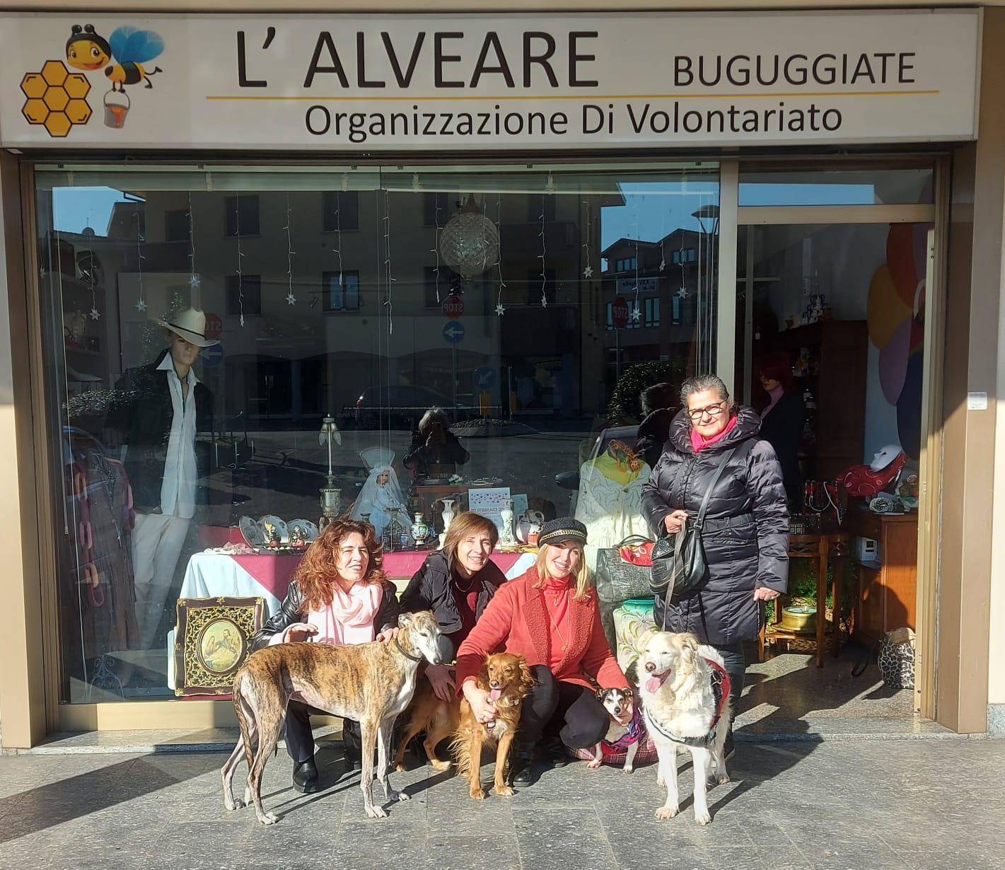 Angeli a 4 zampe