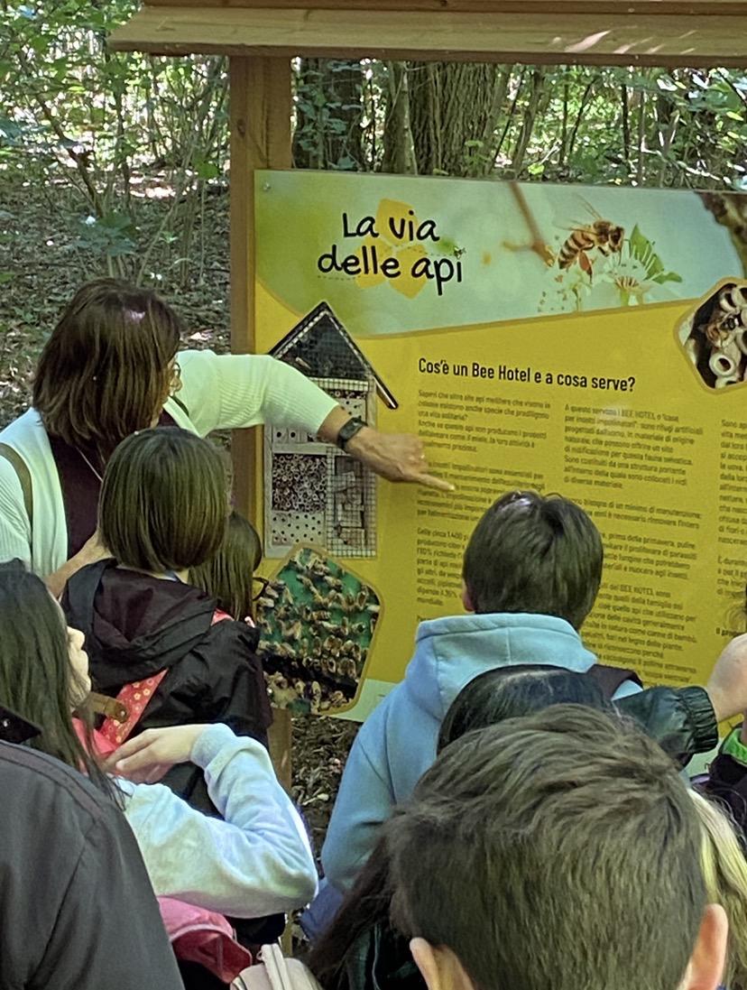 INVESTIAMO SULLA SALVAGUARDIA DEGLI INSETTI IMPOLLINATORI