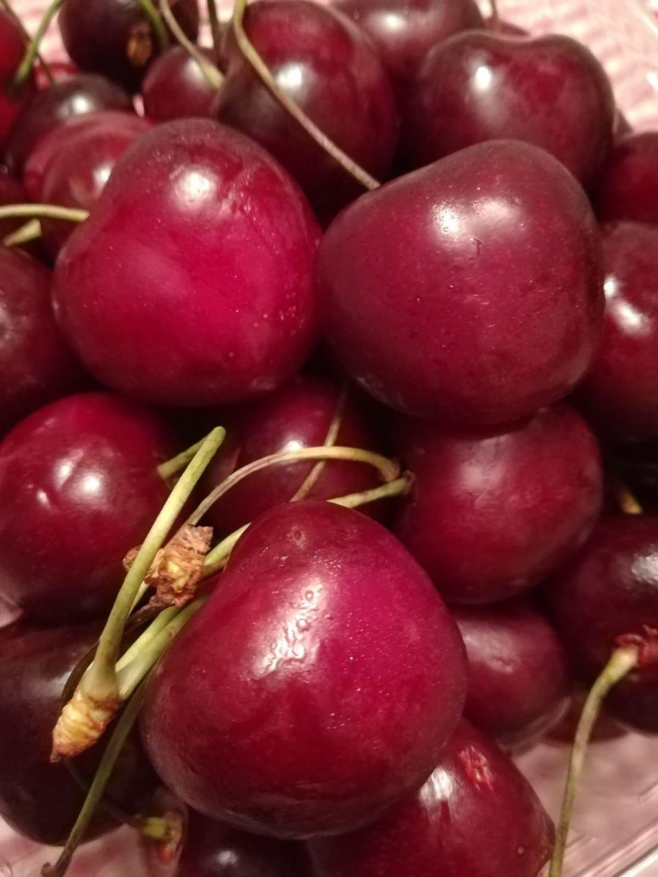 Educazione alimentare 